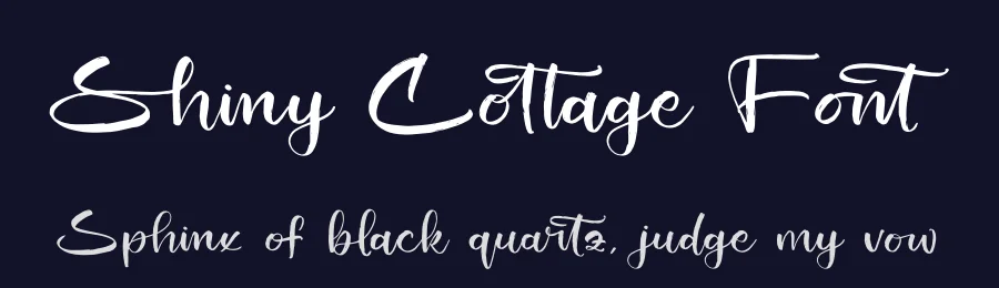 Shiny Cottage Font by stylishtype.co — Script Handwritten Font — thumbnail 2