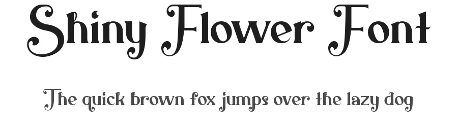 Shiny Flower Font by nihstudio — Decorative Font