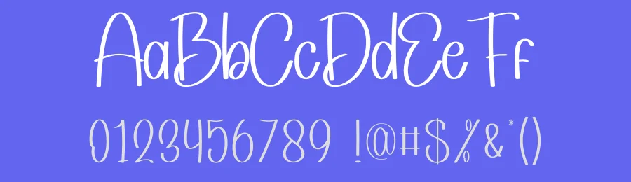 Shiny Holiday Simple Handwritten Font by andikastudio — Display Font — thumbnail 3