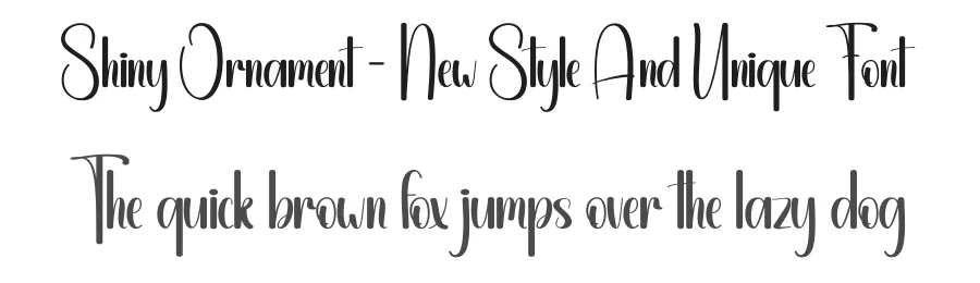 Shiny Ornament – New Style And Unique Font by andikastudio — Display Font