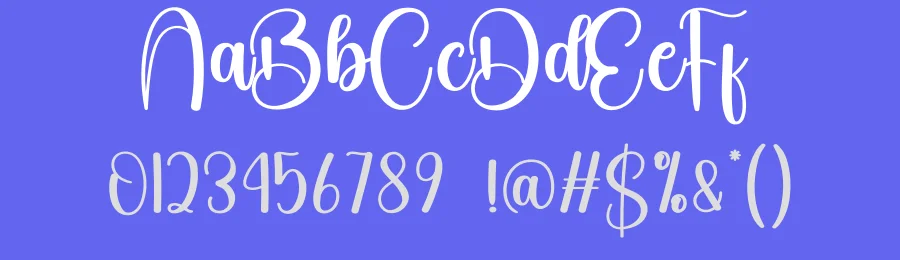 Shiny Script Font by andikastudio — Script Handwritten Font — thumbnail 3