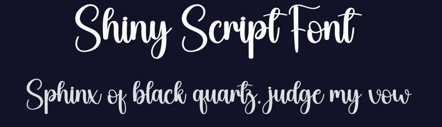 Shiny Script Font by andikastudio — Script Handwritten Font — thumbnail 2
