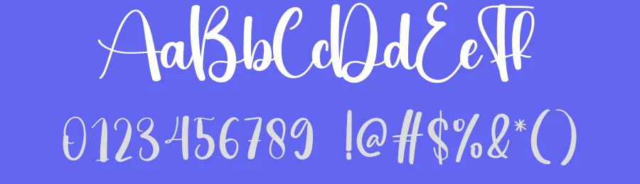 Shiny Script Font by creativeletter — Script Handwritten Font — thumbnail 3