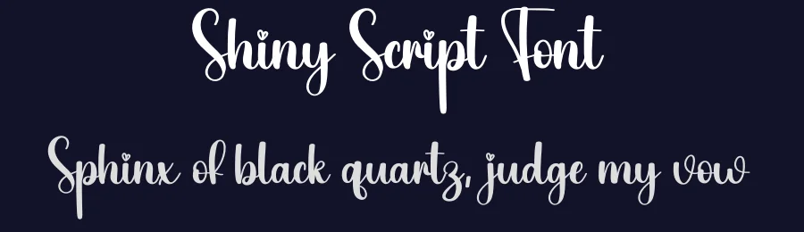 Shiny Script Font by creativeletter — Script Handwritten Font — thumbnail 2