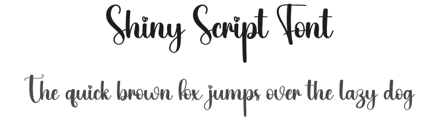 Shiny Script Font by creativeletter — Script Handwritten Font