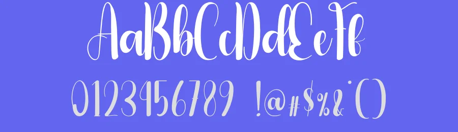 Shiny Script Typeface by andikastudio — Script Handwritten Font — thumbnail 3