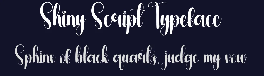 Shiny Script Typeface by andikastudio — Script Handwritten Font — thumbnail 2
