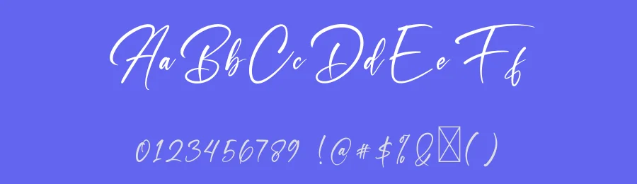 Shiny Sign Font by Dipati Creator — Script Handwritten Font — thumbnail 3