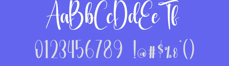 Shiny Wedding Script Font by creativeletter — Script Handwritten Font — thumbnail 3