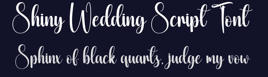 Shiny Wedding Script Font by creativeletter — Script Handwritten Font — thumbnail 2