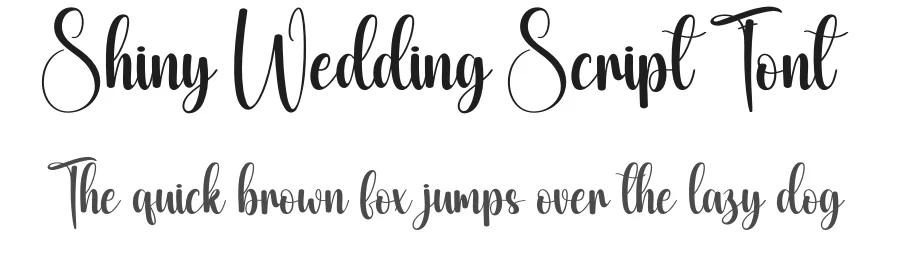 Shiny Wedding Script Font by creativeletter — Script Handwritten Font