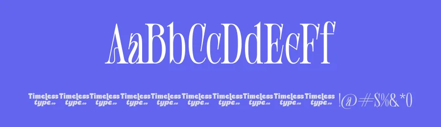 Shliterin Font by timelesstype.co — Serif Font — thumbnail 3