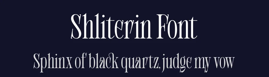 Shliterin Font by timelesstype.co — Serif Font — thumbnail 2