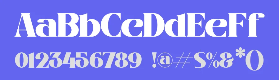 SHOMETHING Font by Storytype — Serif Font — thumbnail 3