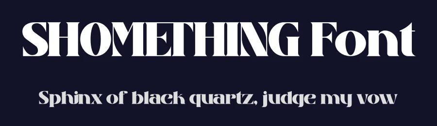 SHOMETHING Font by Storytype — Serif Font — thumbnail 2