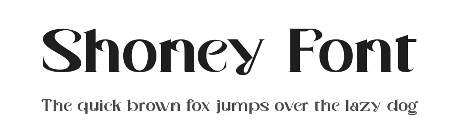 Shoney Font by Letternesia studio — Display Font