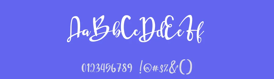 Shorin Bestie Calligraphy Font by Namara Creative Studio — Script Handwritten Font — thumbnail 3
