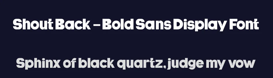 Shout Back – Bold Sans Display Font by timelesstype.co — Display Font — thumbnail 2