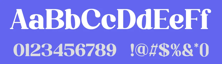 Shugar Font by TypeLogue — Serif Font — thumbnail 3
