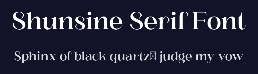 Shunsine Serif Font by Meliora Studio — Serif Font — thumbnail 2