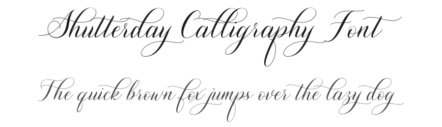 Shutterday Calligraphy Font by Heinzel Std. — Script Handwritten Font