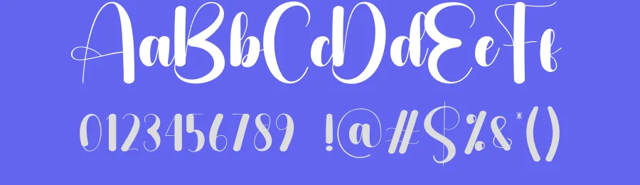 Sidecar Script Font by creativeletter — Script Handwritten Font — thumbnail 3