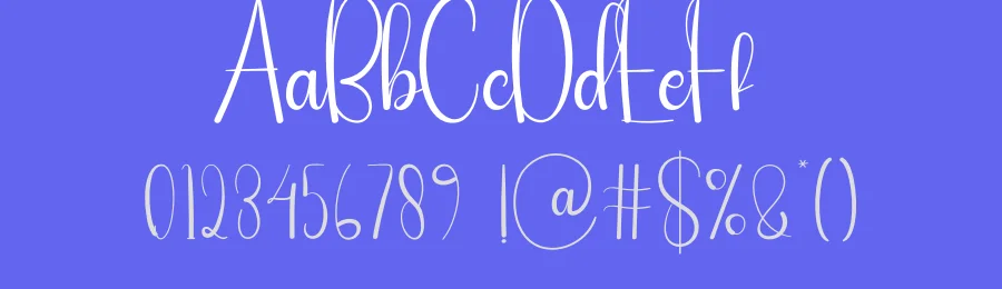 Signal Script Font by andikastudio — Script Handwritten Font — thumbnail 3