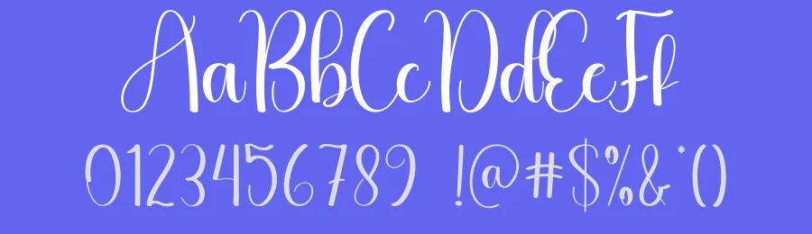 Signal Script Typeface by andikastudio — Script Handwritten Font — thumbnail 3