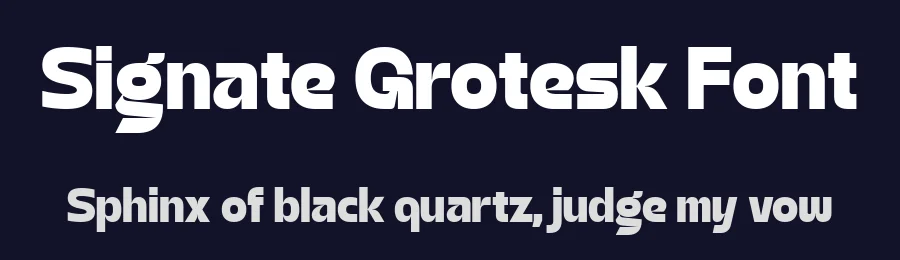 Signate Grotesk Font by Sign Studio — Sans Serif Font — thumbnail 2