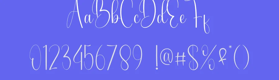Signature Birthday Script Font by andikastudio — Script Handwritten Font — thumbnail 3