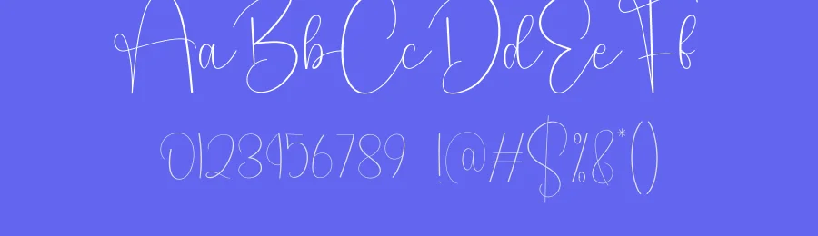 Signature Calligraphy Font by creativeletter — Script Handwritten Font — thumbnail 3