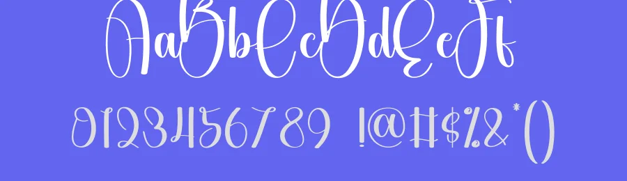 Signature Calligraphy Font by andikastudio — Script Handwritten Font — thumbnail 3