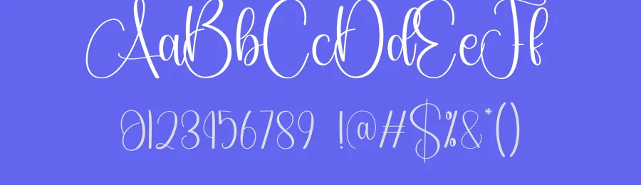 Signature Calligraphy Font by creativeletter — Script Handwritten Font — thumbnail 3