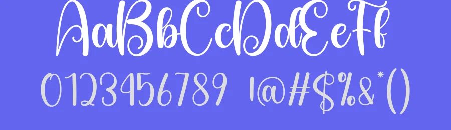 Signature Calligraphy Typeface by creativeletter — Script Handwritten Font — thumbnail 3