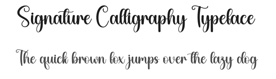 Signature Calligraphy Typeface by creativeletter — Script Handwritten Font