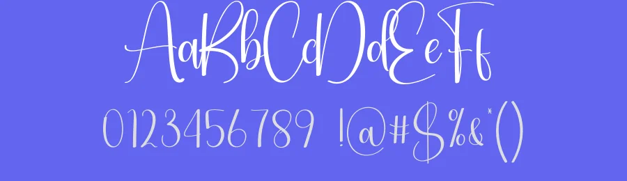 Signature Calligraphy Typeface by andikastudio — Script Handwritten Font — thumbnail 3