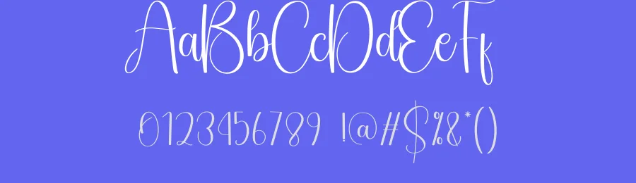 Signature Calligraphy Typeface by creativeletter — Script Handwritten Font — thumbnail 3