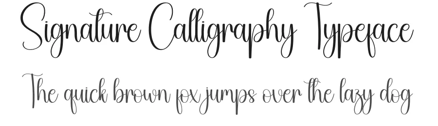Signature Calligraphy Typeface by creativeletter — Script Handwritten Font