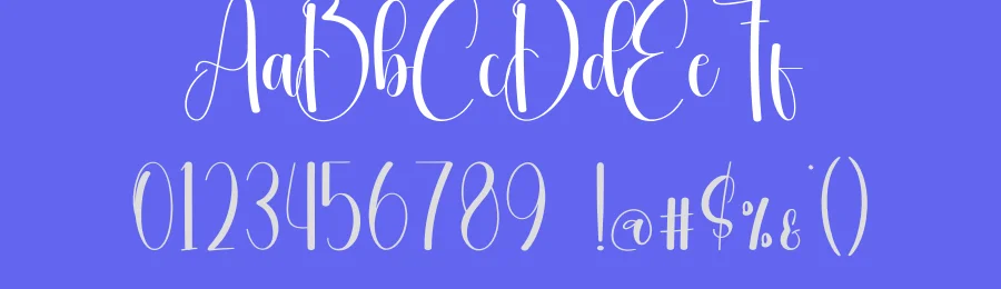 Signature Handmade Font by creativeletter — Script Handwritten Font — thumbnail 3
