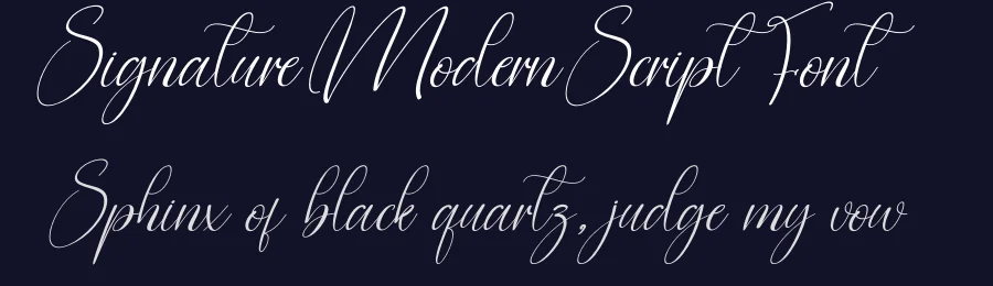 Signature Modern Script Font by creativeletter — Script Handwritten Font — thumbnail 2
