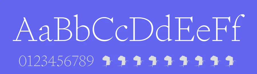 Signifier Font Family by Klim Type Foundry — Serif Font — thumbnail 3