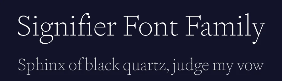Signifier Font Family by Klim Type Foundry — Serif Font — thumbnail 2