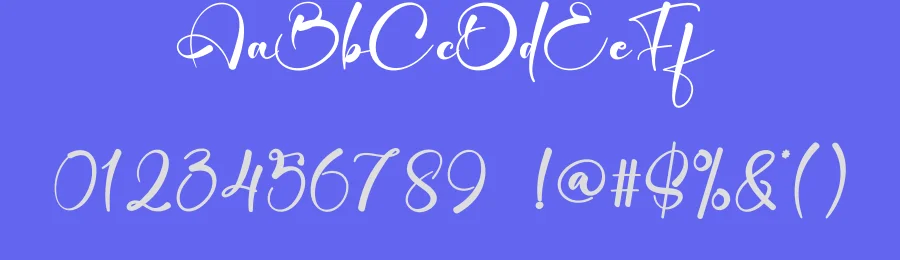 Silentnight – Elegant Handwritten Font by creativeletter — Script Handwritten Font — thumbnail 3