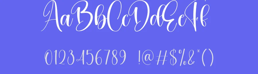Silhoutte Calligraphy Font by creativeletter — Script Handwritten Font — thumbnail 3