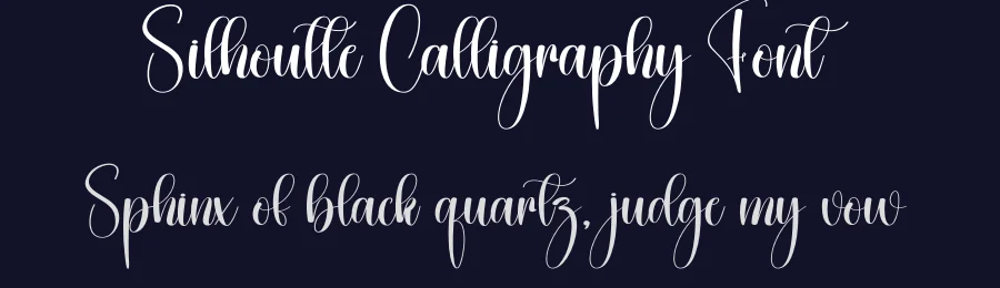 Silhoutte Calligraphy Font by creativeletter — Script Handwritten Font — thumbnail 2