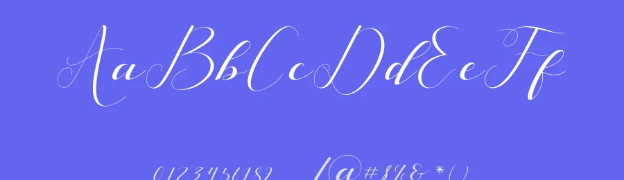 Silicia Script Font by Teweka — Script Handwritten Font — thumbnail 3