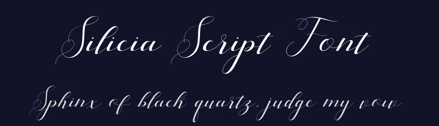 Silicia Script Font by Teweka — Script Handwritten Font — thumbnail 2