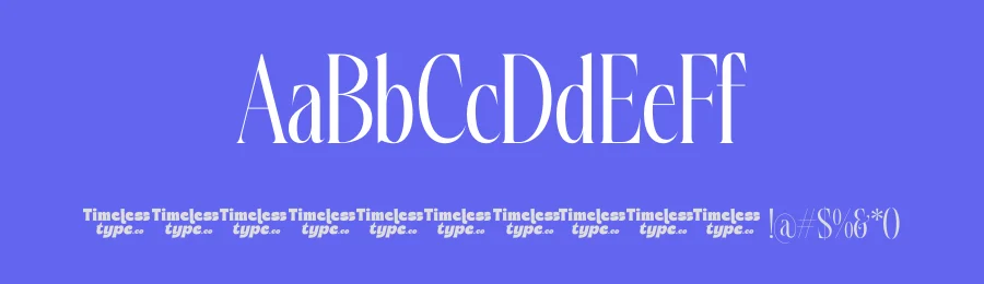 Silkigfined Font by timelesstype.co — Serif Font — thumbnail 3