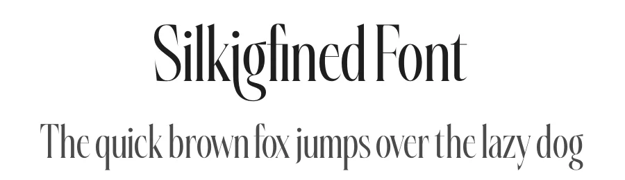 Silkigfined Font by timelesstype.co — Serif Font