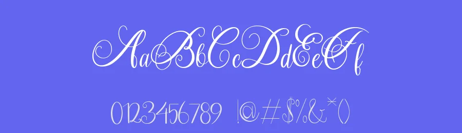 Silkora Font by Dmletter studio — Script Handwritten Font — thumbnail 3